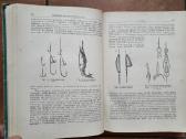 Л . П. Сабанеев " Жизнь и ловля пресноводных рыб" - nuotraukos Nr. 7