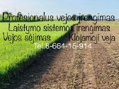 Veja, laistymas, aplinkos apželdinimas - nuotraukos Nr. 25