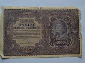 1919 m.1000 Lenkijos markiu