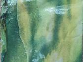 Naujas nuostabus šalis - nuotraukos Nr. 4