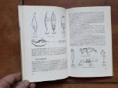 Knyga apie spiningavimą vokiškai 1965 metai. - nuotraukos Nr. 13