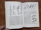 Knyga apie spiningavimą vokiškai 1965 metai. - nuotraukos Nr. 14