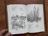 Knyga apie spiningavimą vokiškai 1965 metai. - nuotraukos Nr. 24