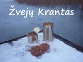 Šutinti kviečiai