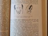 Gyvūnų psichologija, 1959 m. rusų k. - nuotraukos Nr. 5
