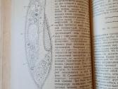 Gyvūnų psichologija, 1959 m. rusų k. - nuotraukos Nr. 9
