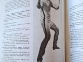 Jeet Kune Do -Bruce Lee knyga italų k. - nuotraukos Nr. 12