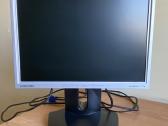 Samsung 171n monitorius