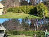 Medžių pjovimas-genėjimas-gyvatvorių karpymas - nuotraukos Nr. 28