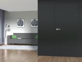 Modernios "Nematomos" durys tą pačią dieną! - nuotraukos Nr. 3