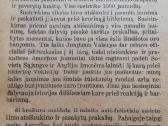 Jaunimas ir karas 1942m - nuotraukos Nr. 2