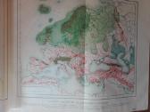 350. Доисторичесiй Человъкь 1913 m. - nuotraukos Nr. 7