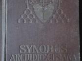 396. Sinodus Archidioesana Vilensis