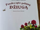 Pasaka apie galiūną Džiugą - nuotraukos Nr. 3