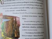 Pasaka apie galiūną Džiugą - nuotraukos Nr. 6