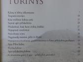 R. Repšienė - Lietuvos piliakalnių legendos - nuotraukos Nr. 4