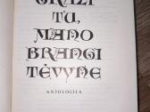 Poezijos rinkinys Graži tu mano brangi Tėvyne. - nuotraukos Nr. 3