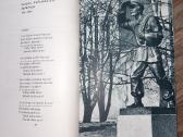 Poezijos rinkinys Graži tu mano brangi Tėvyne. - nuotraukos Nr. 8