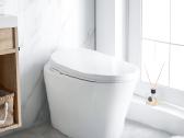 Pastatomas klozetas su bide Wc/bide viename Lara - nuotraukos Nr. 16