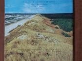 Lankstinukas 50 Litų 2004 m. Kuršių Nerija - nuotraukos Nr. 3