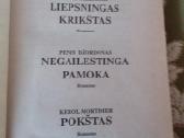 Liepsningas Krikštas. Negailestinga Pamoka. Pokšta - nuotraukos Nr. 2