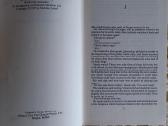Nicholas Luard The Dirty Area, 1979 m. - nuotraukos Nr. 3