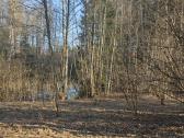 Parduodamas 0,82ha žemės ūkio paskirties sklypas - nuotraukos Nr. 5