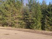 Parduodamas 0,82ha žemės ūkio paskirties sklypas - nuotraukos Nr. 3