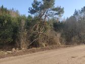 Parduodamas 0,82ha žemės ūkio paskirties sklypas - nuotraukos Nr. 7