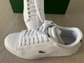 Lacoste kedukai - nuotraukos Nr. 2