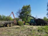 Medžių pjovimas,genėjimas,apleistų sklypų, šakų - nuotraukos Nr. 18