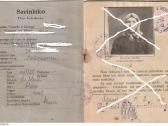 Memel Personal-ausweiss, Klaipeda Pasas 1924