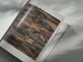 Lietuvos dailės rinktinė albumas - nuotraukos Nr. 5