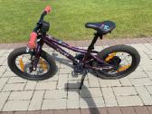 Scott contessa 16
