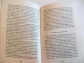Knyga Mažasis karas Partizaninio karo pagrindai - nuotraukos Nr. 11