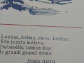 Lietuvos geležiniai kryžiai - nuotraukos Nr. 2