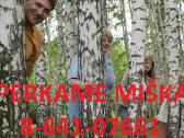 Geriausia miško kaina lietuvoje