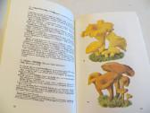 Knyga Kišeninė grybautojų knyga. Vokiškai. 1987 - nuotraukos Nr. 20