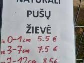Atsijos,granito atsijos,akmens atsijos,smėlis - nuotraukos Nr. 20