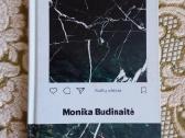 Selfų slėnis Monika Budinaitė 2018 m.