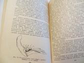 Knyga Žuvų auginimas tvenkiniuose. 1975 - nuotraukos Nr. 25