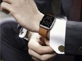 Gaivių spalvų Apple Watch apyrankės 3,6,7,8,ultra - nuotraukos Nr. 31