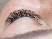 Blakstienų priauginimas Justiniškėse 30-40eur - nuotraukos Nr. 8