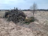 Aplinkos sklypu tvarkymas medžių pjovimas šakų išv - nuotraukos Nr. 31