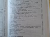 Fizioterapija, masažas ir gydomoji fizinė kultūra - nuotraukos Nr. 3