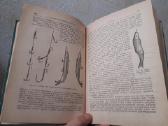 Л . П. Сабанеев " Жизнь и ловля пресноводных рыб" - nuotraukos Nr. 6