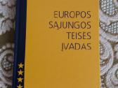 Europos Sąjungos Teisės Įvadas Walter Cairns 1999m