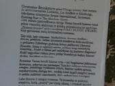 Vienas beveik bjaurus rytas Christopher Brookmyre - nuotraukos Nr. 3