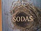 Knyga M. Stepnova "Sodas"