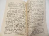 Knyga Dėmesio! Radiacinis užkrėtimas! 1982 - nuotraukos Nr. 24